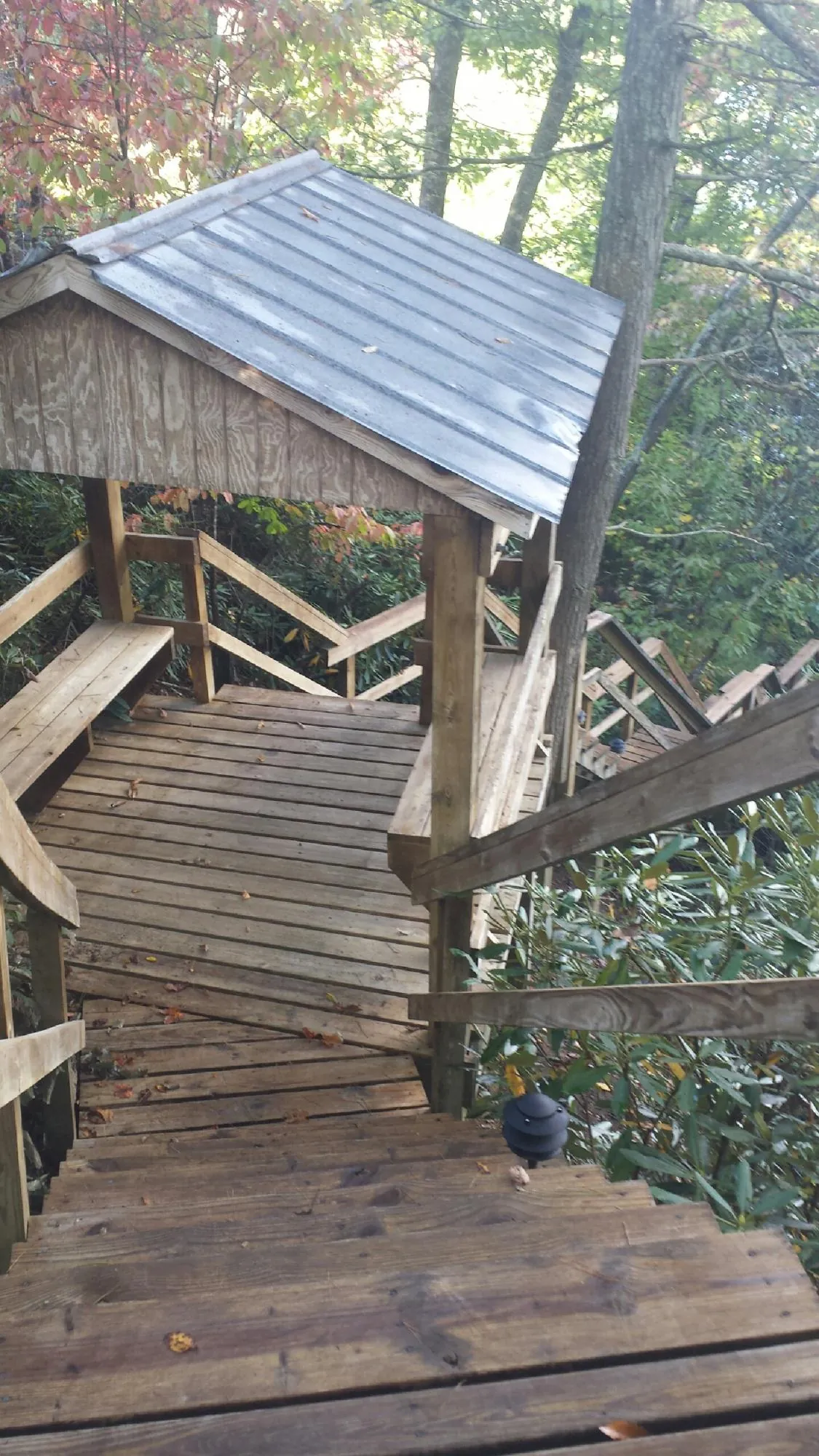Metal roofed shelter over wooden steps on a wooded walkway in Bruceton