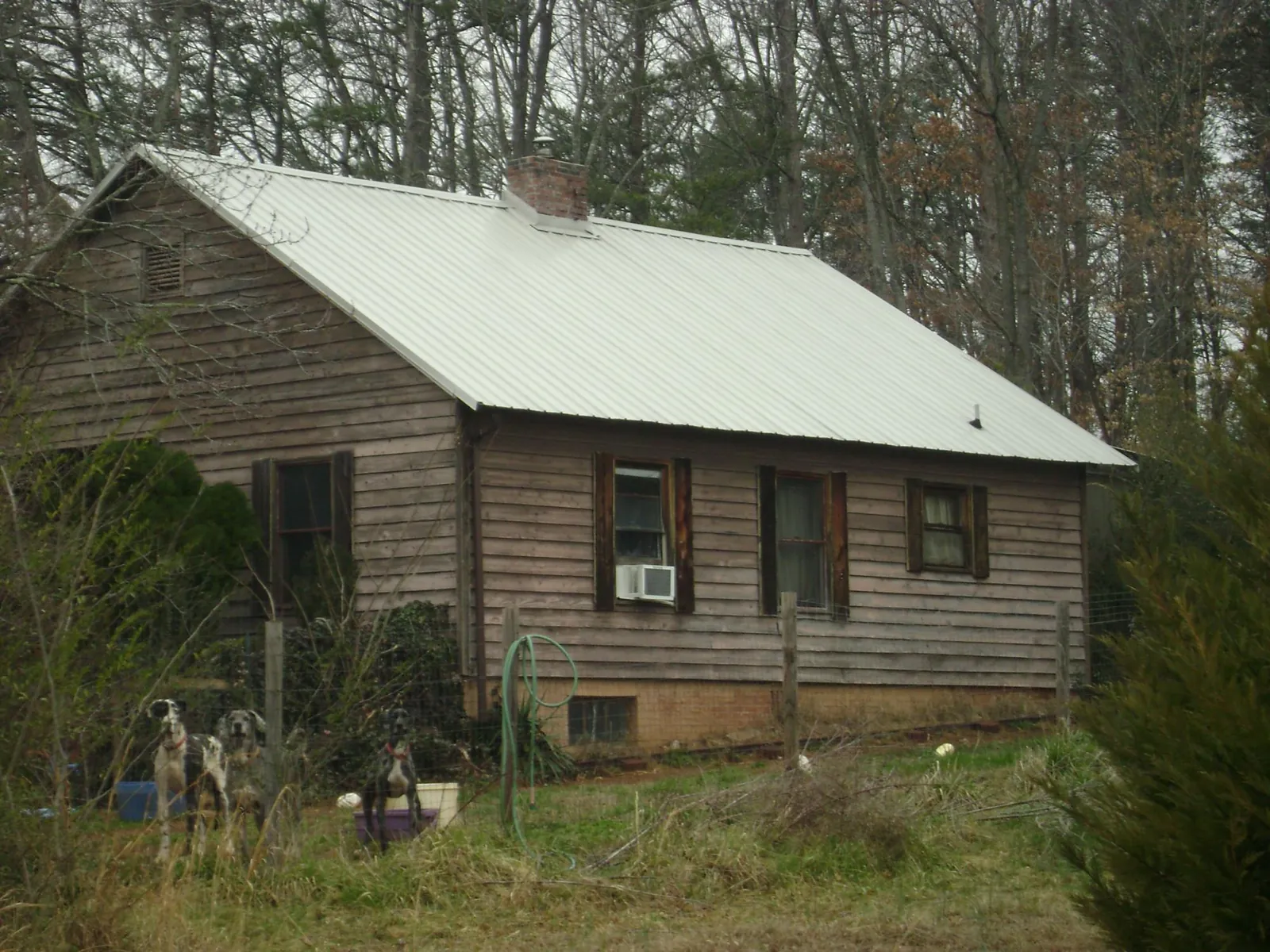 White metal roof on an old wood sided farmhouse, from a Asphalt Shingle Roof Repair job in Bruceton